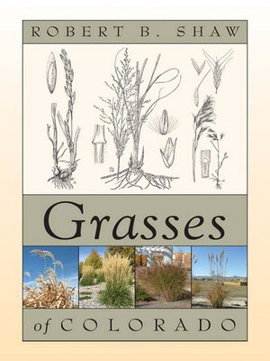cover image of Grasses of Colorado